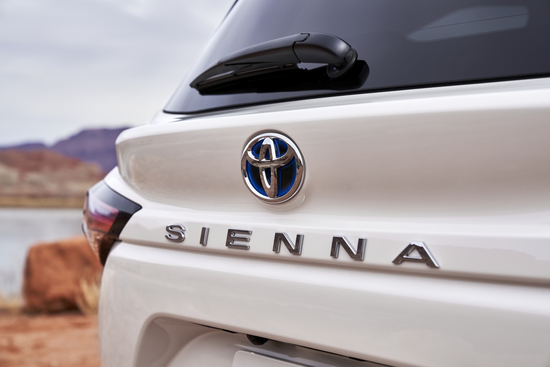 Vue rapprochée du logo Toyota et Sienna sur le coffre arrière | Ste-Foy Toyota